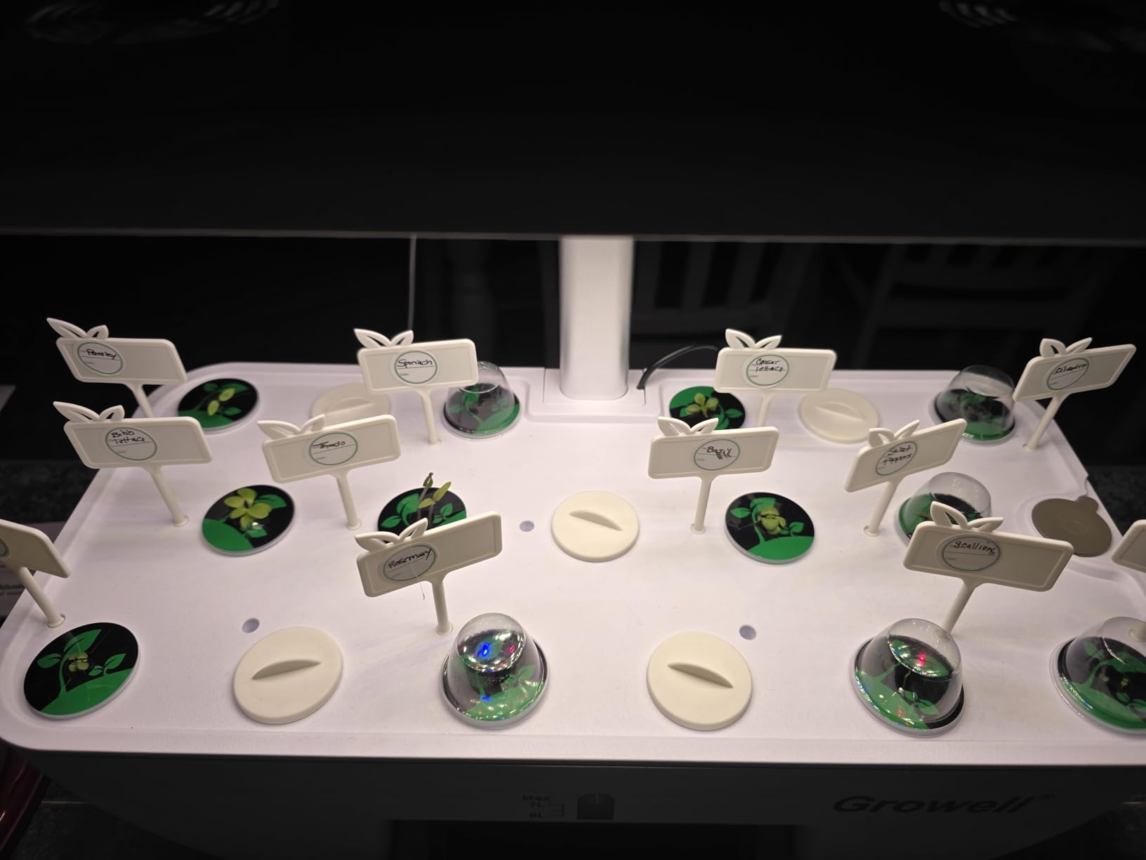Growell 17 Pods Hydroponics Growing System Kit, Indoor Garden with 2 Fans customer photo 1