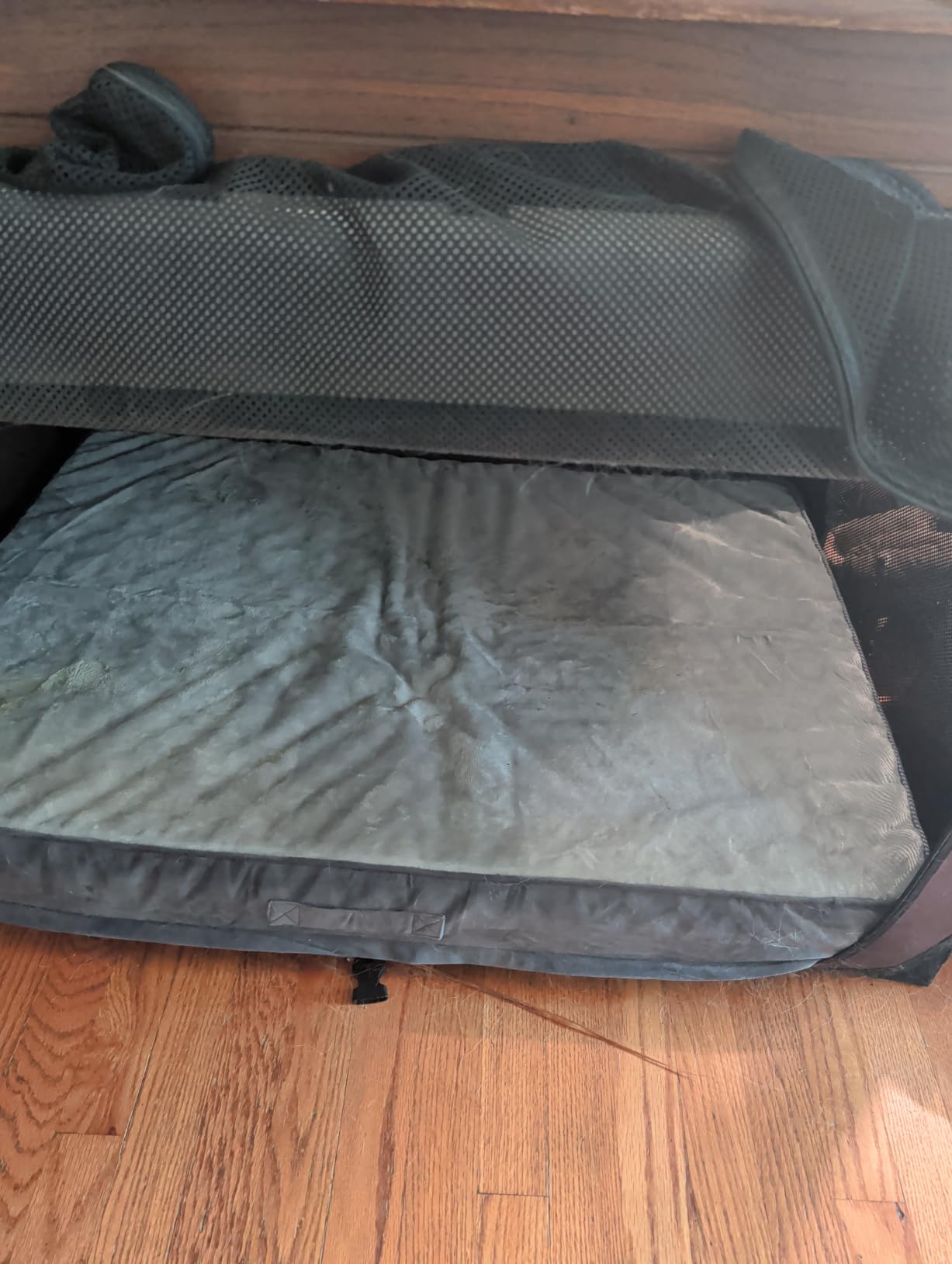 OhGeni Orthopedic Large Dog Bed, Reversible Memory Foam, 41 inch-XL(Gray) customer photo 2