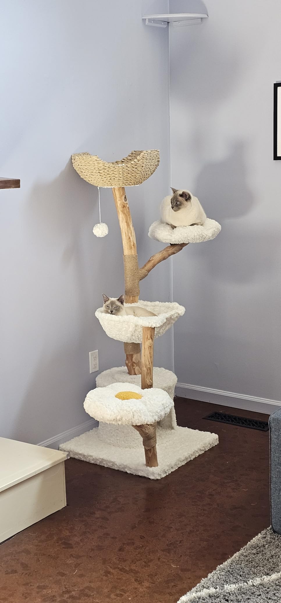 PAWZ Road Modern Cat Tree with Real Wood&Wicker Basket for Large Cats Brown customer photo 2