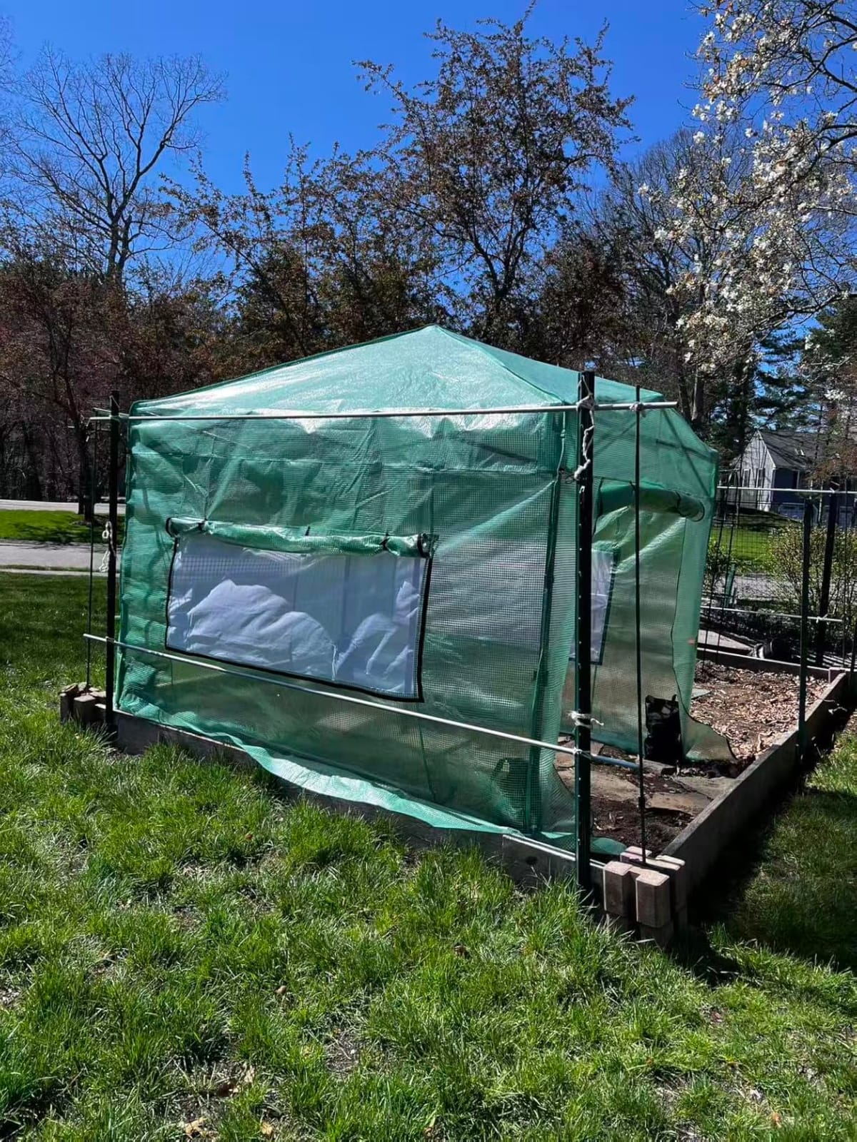 CROWN SHADES 12X8 Pop Up Outdoor Walk-in Portable Greenhouse,Green customer photo 2