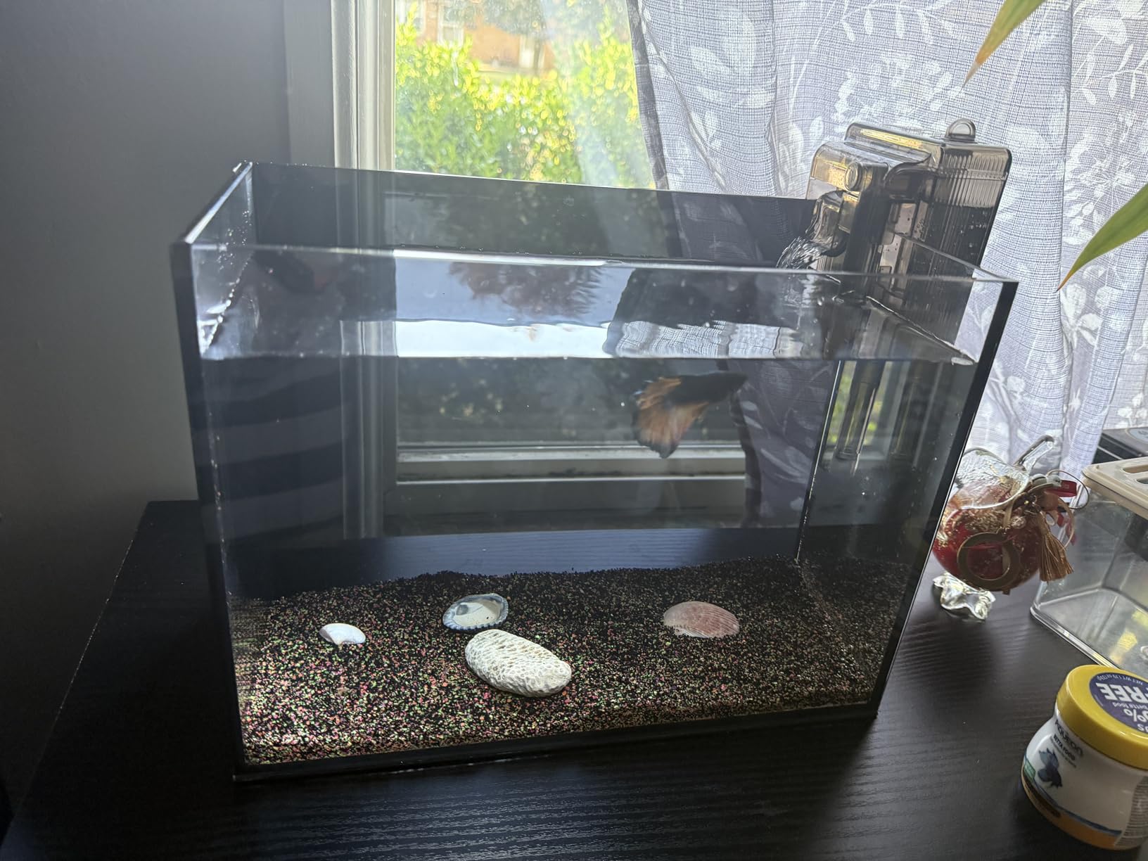 7 Gallon Rimless Cube Fish Tank, Ultra-Clear Glass Aquarium customer photo 2