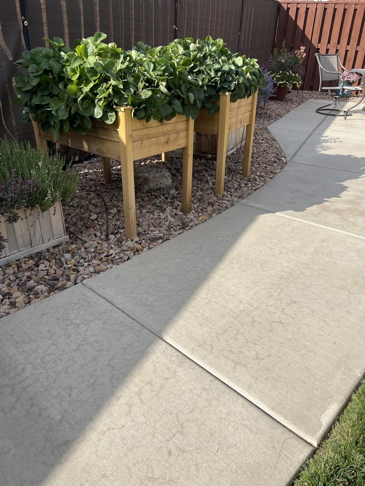 Backyard Expressions Elevated Raised Garden Bed with Greenhouse Cover, Wood customer photo 1