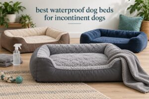best waterproof dog beds for incontinent dogs
