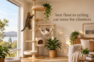 best floor to ceiling cat trees for climbers
