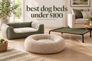 best dog beds under $100