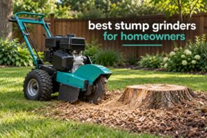 best stump grinders for homeowners