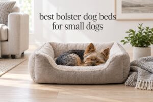 best bolster dog beds for small dogs